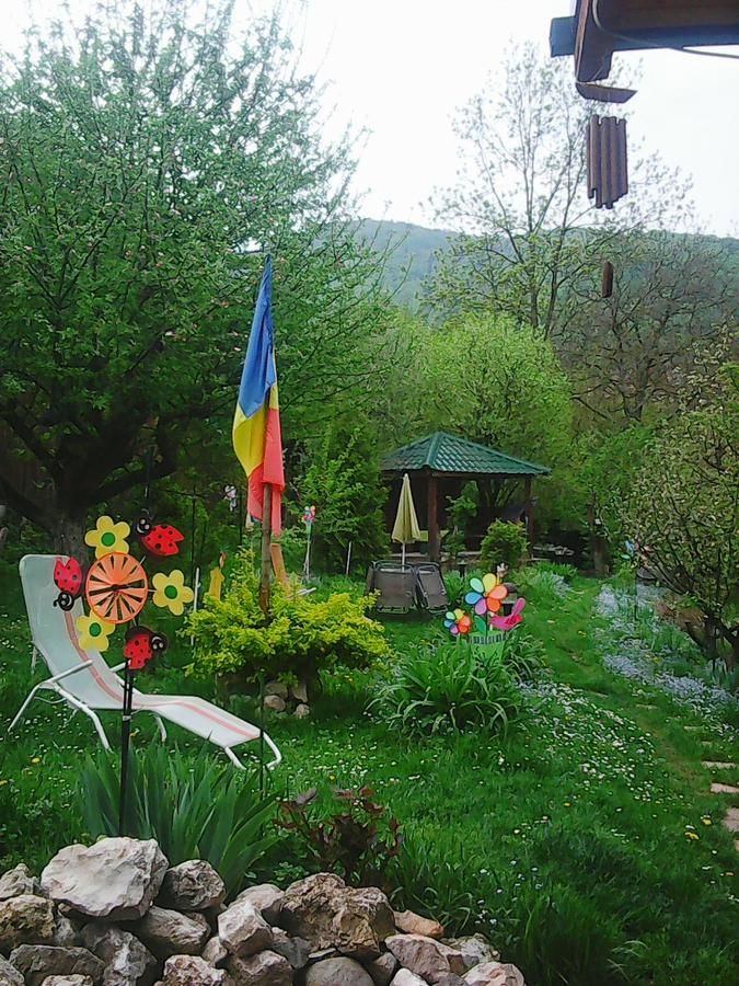 Гостевой дом Casa Natalia Брашов-6
