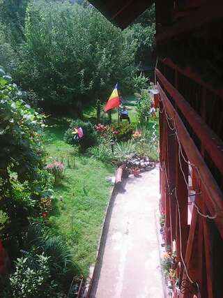 Гостевой дом Casa Natalia Брашов-1