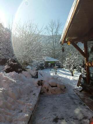 Гостевой дом Casa Natalia Брашов-3