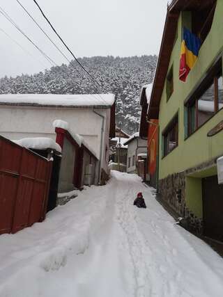 Гостевой дом Casa Natalia Брашов-6